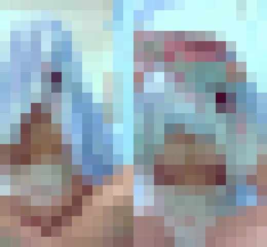 [Image: 27-1610014937-Aii364188.jpg]