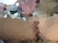 [Image: 76-1623993944-vlcsnap-2021-06-10-08h54m48s718.jpg]